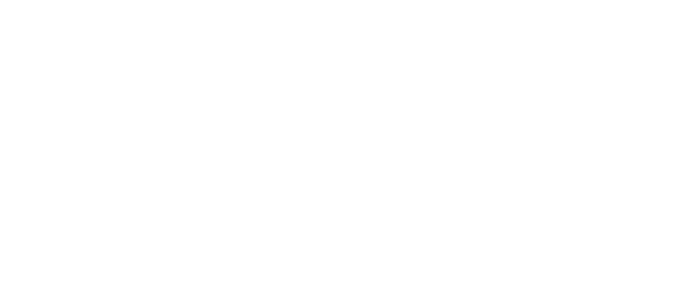 IMU